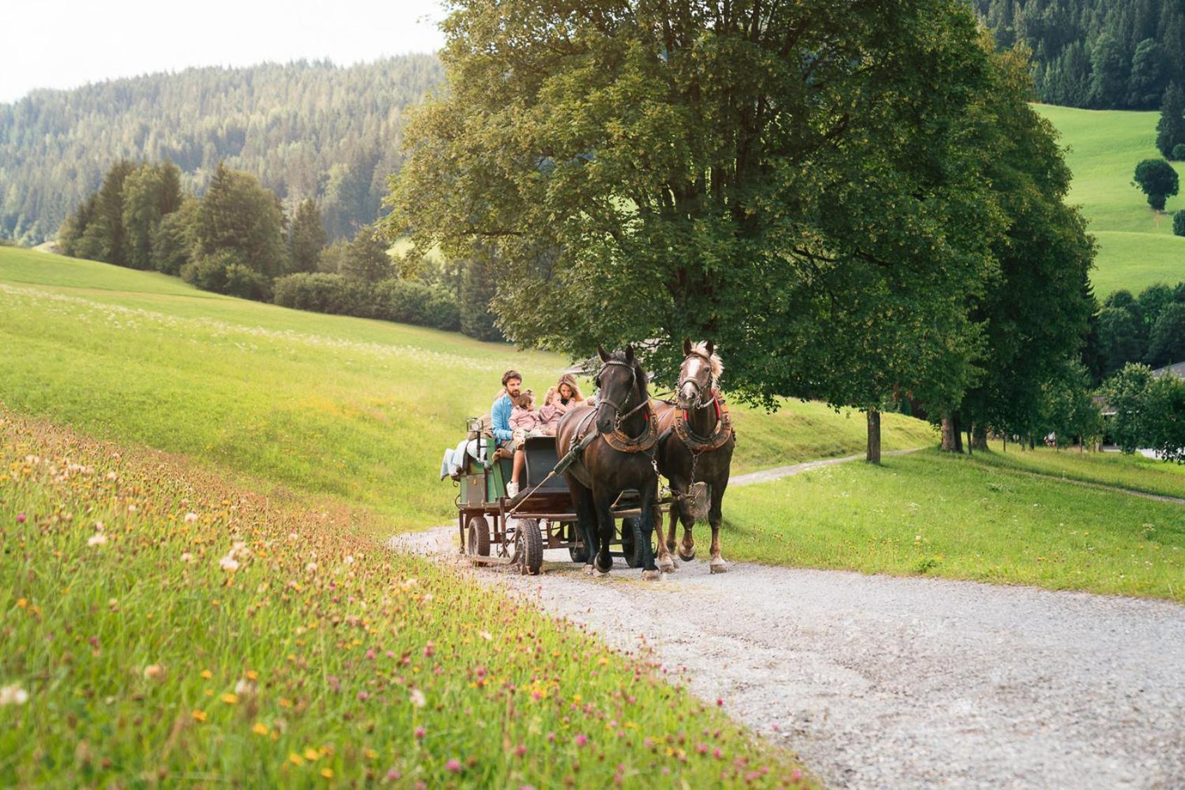 Das Hopfgarten Familotel Tirol Hopfgarten im Brixental Exteriör bild
